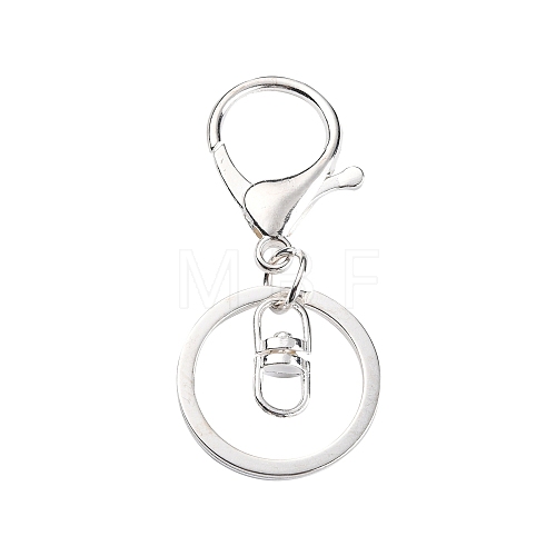 Iron Alloy Lobster Claw Clasp Keychain KEYC-D016-S-1