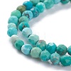 Natural HuBei Turquoise Beads Strands G-A026-A10-2mm-3
