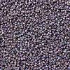 MIYUKI Delica Beads SEED-X0054-DB1067-3