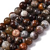 Natural Mexico Crazy Agate Beads Strands G-L615-A01-01-1