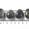 Natural Labradorite Beads Strands G-P528-E10-01-4
