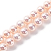 UV Plating Pearlized Glass Pearl Beads Strands GLAA-F128-01A-T09-1