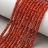 Dyed & Heated Natural Carnelian Beads Strands GG-CBA2E9C-B01-02-1