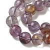 Natural Purple Phantom Quartz Purple Lodolite Quartz Beads Strands G-S333-10mm-030-01-3