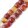 Natural Red Agate Beads Strands G-K359-B11-01-1