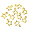 Tibetan Style Alloy Charms LS-K0NYK011-3