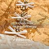 Preciosa® MAXIMA Crystal No Hotfix Flatback Stones Y-PRC-NSS8-70530-200-3