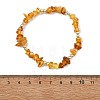 Unisex Natural & Synthetic Amber Bracelets BJEW-JB13932-3