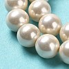 Shell Pearl Bead Strands BSHE-L025-08-6mm-01-4