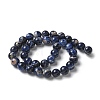 Natural South Africa Sodalite Beads Strands X-G-S259-35-10mm-6