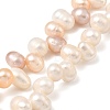 Natural Cultured Freshwater Pearl Beads Strands PEAR-I007-04E-03C-6