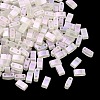 Glass 2-Hole Baking Paint Glass Seed Beads GLAA-G130-01D-1