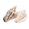 Natural Conch Shell Beads BSHE-O007-57-3