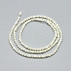 Natural White Shell Beads Strands G-A177-04-25-3