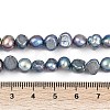 Natural Cultured Freshwater Pearl Beads Strands PEAR-P064-20B-02B-5