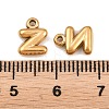304 Stainless Steel Pendants STAS-S186-12Z-G01-3