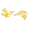 Transparent Plastic Pendants KY-N025-44E-2