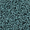 MIYUKI Delica Beads SEED-MY11-DB2407-2