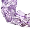 Natural Amethyst Beads Strands G-P568-C04-01-4