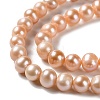 Natural Cultured Freshwater Pearl Beads Strands PEAR-E018-25-3