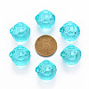 Transparent Acrylic Pendants TACR-T024-05B-946-3
