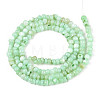 Natural Freshwater Shell Dyed Beads Strands SHEL-T020-29B-03-2