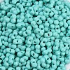 Baking Paint Glass Seed Beads X1-SEED-K010-A19-2