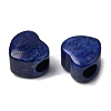 Dyed Natural Lapis Lazuli European Beads G-C269-01L-2