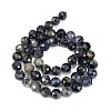 Natural Iolite Beads Strands G-C127-A05-05-5