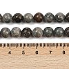 Natural Gemstone Beads Strands G-F792-C11-06-5