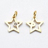 316 Surgical Stainless Steel Pendants STAS-K178-01A-G-2