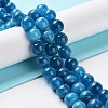 Dyed Natural Malaysia Jade Beads Strands G-G021-02B-10-2