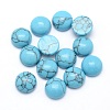 Synthetic Turquoise Cabochons X-G-P393-R13-8mm-1