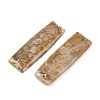 Natural Fossil Coral Pendants G-B187-01C-08-2
