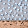 FGB Grade A Frosted Glass Seed Beads SEED-Q040-04A-01-6