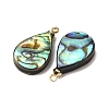 Natural Abalone Shell Pendants SH-CJC0AC7-01B-G-2