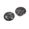 Natural Glaucophane Cabochons G-H1596-FR-25mm-19-2