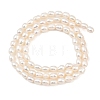 Natural Cultured Freshwater Pearl Beads Strands PEAR-F020-15-3