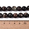 Natural Biotite Beads Strands G-Q616-01D-5