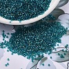 MIYUKI Delica Beads SEED-MY11-DB1764-1