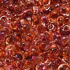 Transparent Baking Paint Glass Seed Beads SEED-P006-02B-08-3