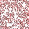 Luminous Glass Seed Beads X1-SEED-A033-07M-4