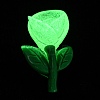 Luminous Resin Cabochons RESI-E047-01B-1