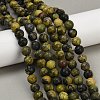 Natural Yellow Turquoise(Jasper) Beads Strands G-F591-25-10mm-1