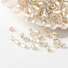 15/0 Grade A Glass Seed Beads X-SEED-A023-F15-H634-1