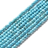 Natural Howlite Beads Strands G-C025-03B-02-1