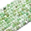 Natural Chrysoprase Beads Strands G-P438-C01-2mm-1