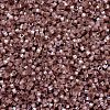 MIYUKI Delica Beads X-SEED-J020-DB1879-3