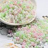 Glass Seed Beads SEED-K009-02B-19-1