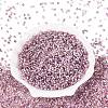 Baking Paint Glass Seed Beads SEED-Q041-03A-11-2